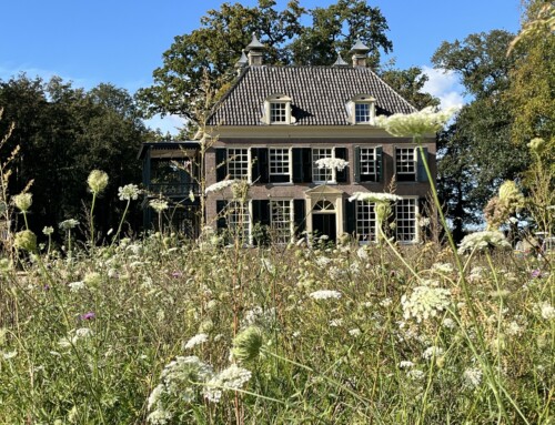 De Grote Noordijk, Twello